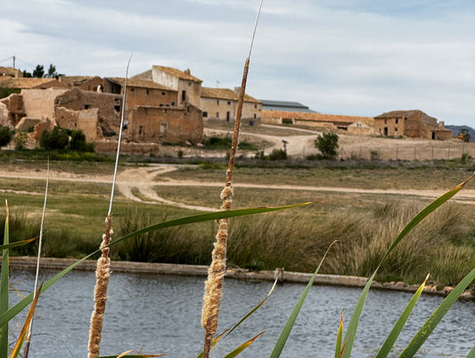 Finding Collective Agency and Inspiration in an Arid and Underpopulated Land