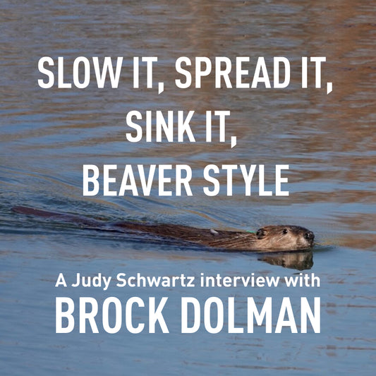 Slow It, Spread It, Sink It, Beaver Style: A Judy Schwartz Interview with Brock Dolman