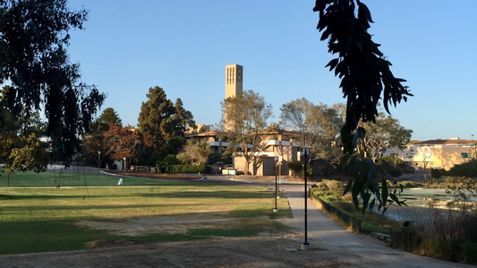 A College Student’s Path to Climate Action