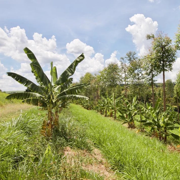 Propagate Ventures