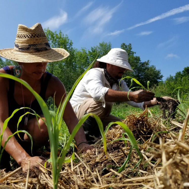 Article - Soul Fire Farm Description of Farming Practices