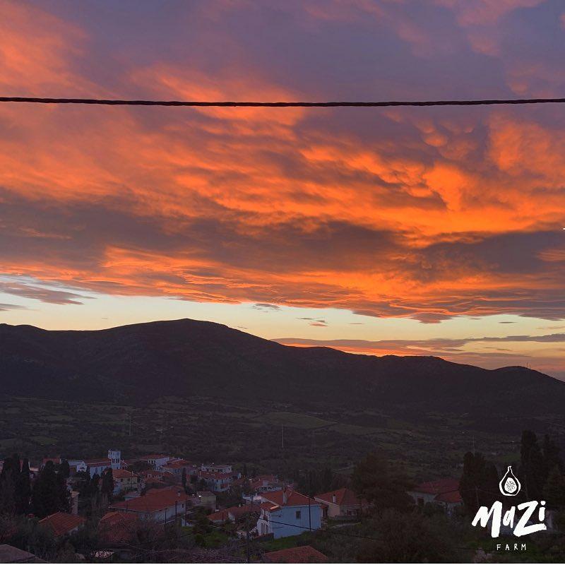 Mazi Farm, Greece