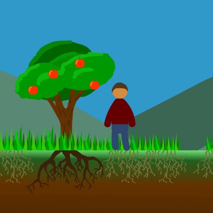 Video - Regenerative Agriculture: A Solution to Climate Change