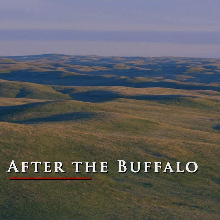 Video - DX Beef - After the Buffalo