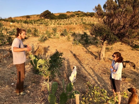 On Ancient Land, Farming for the Future