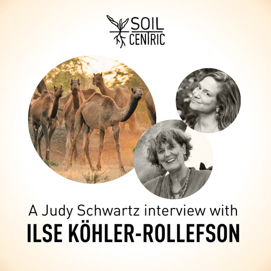 Moving Through Landscapes - an interview with Ilse Köhler-Rollefson by Judith D. Schwartz