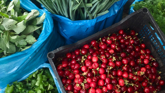 Creating the Regenerative Food System We Need