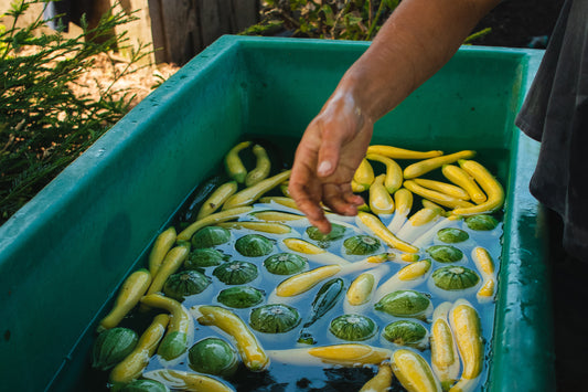 Fresh to Farming - On the Land