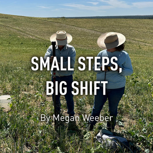 Small Steps, Big Shift
