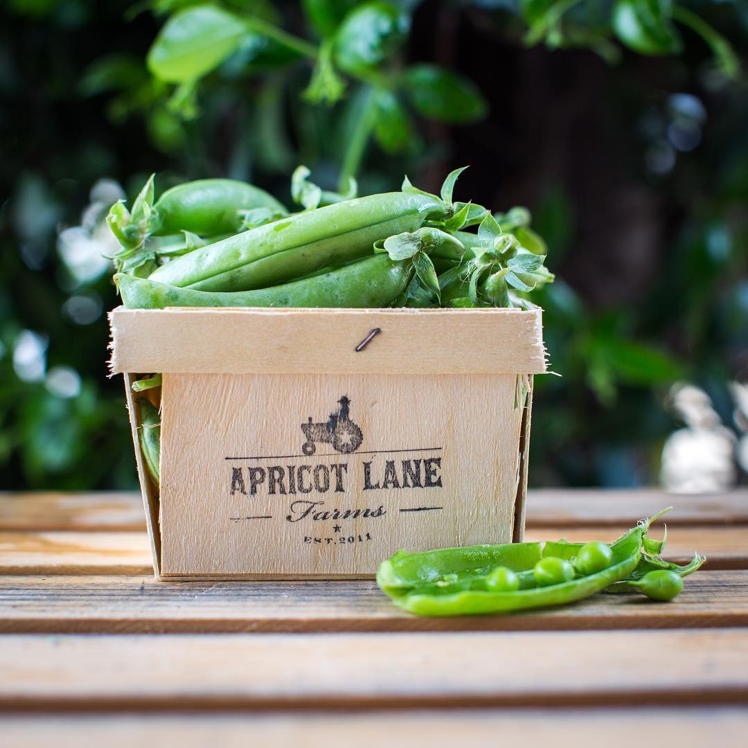 Apricot Lane Farm