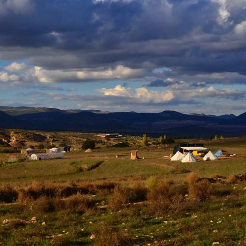 Ecosystem Restoration Camps: Altiplano, Spain