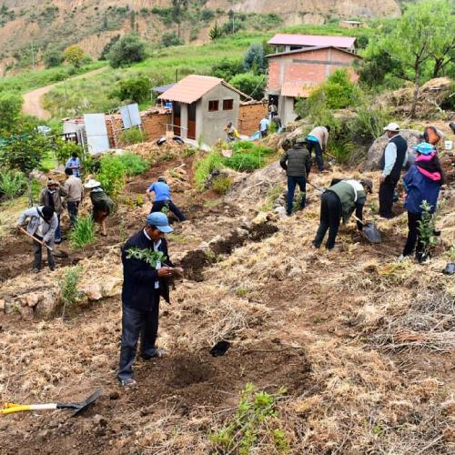 Ecosystem Restoration Camps: Chocaya, Bolivia