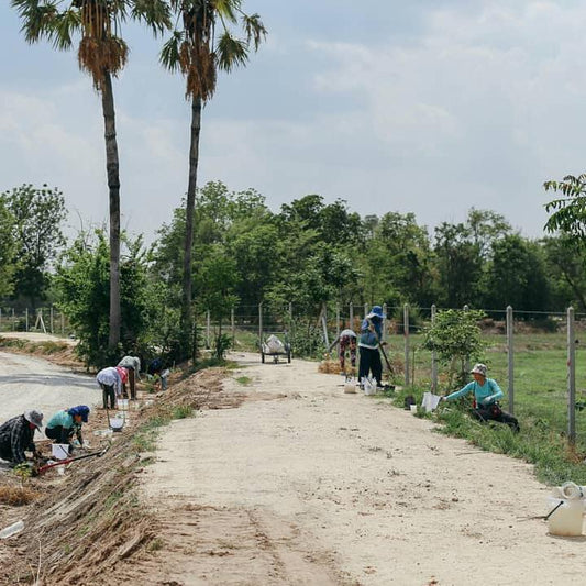 Ecosystem Restoration Camps: Uthai, Thailand