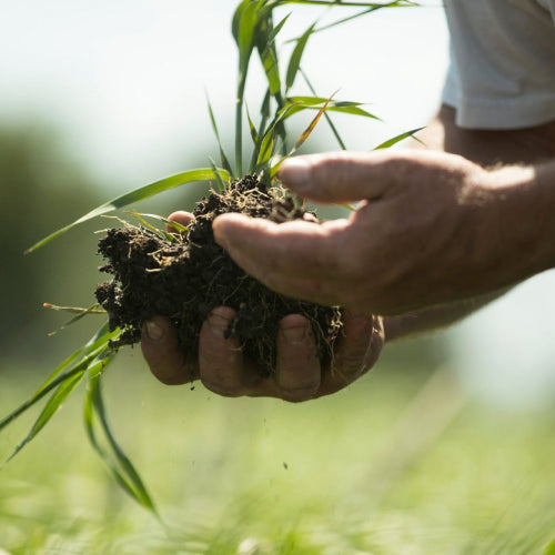 South Dakota Soil Health Coalition