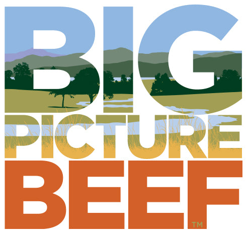 Big Picture Beef