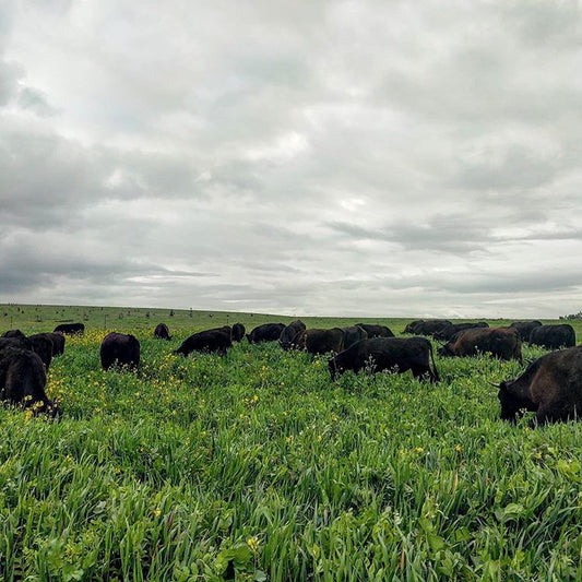 True Grass Farms