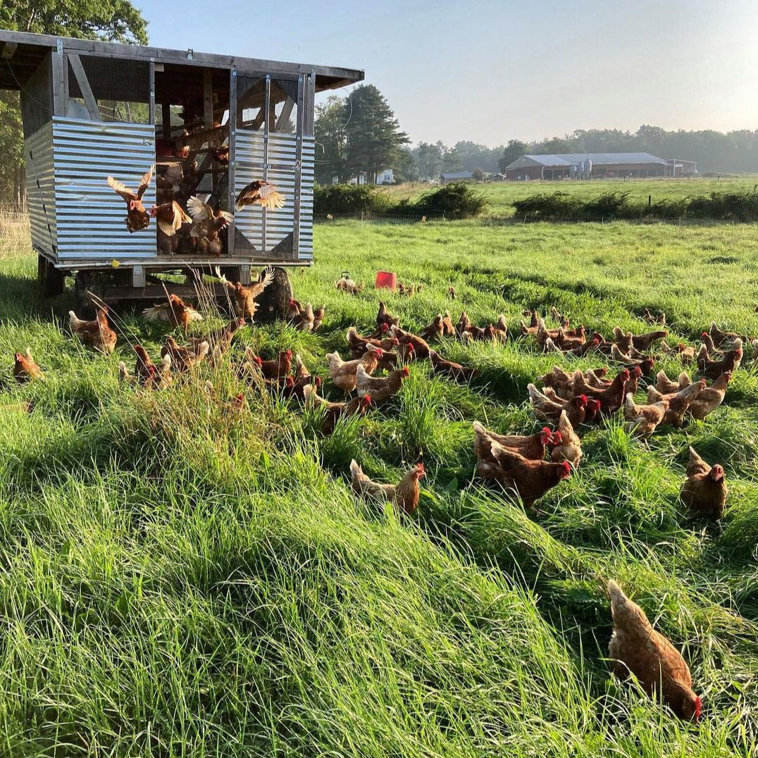 Wolfe’s Neck Center for Agriculture & the Environment