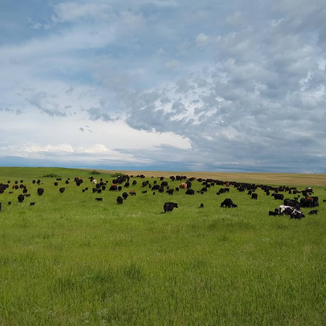 Brown's Ranch Private Tours