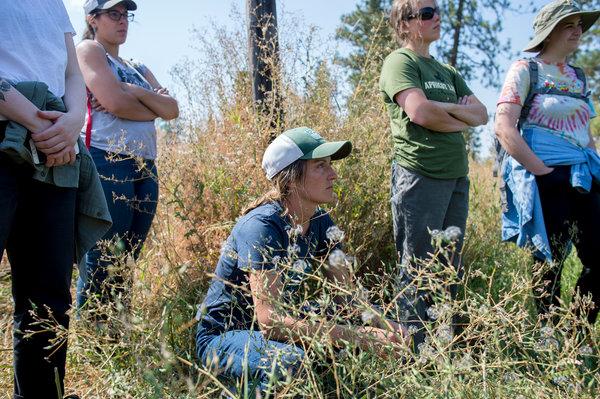 The New Cowgirl Camp