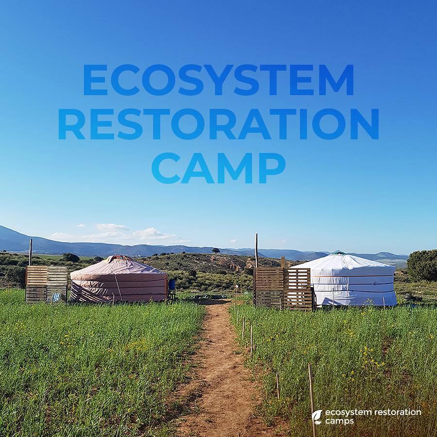 Ecosystem Restoration Camps: Altiplano, Spain