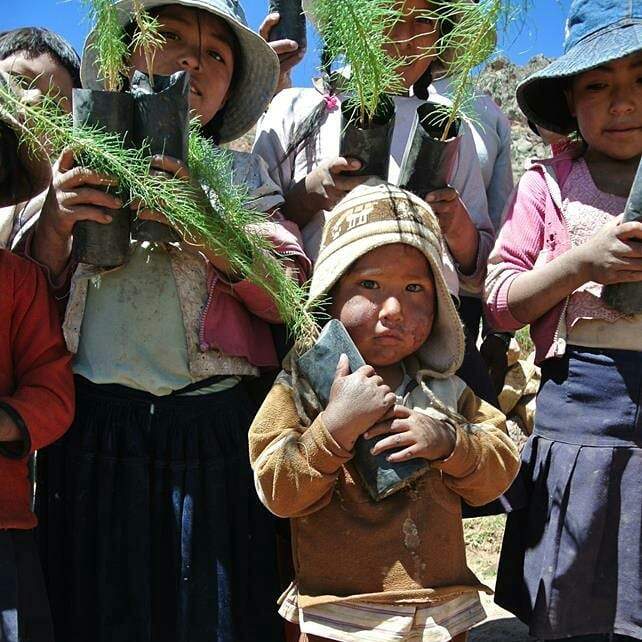 Ecosystem Restoration Camps: Chocaya, Bolivia