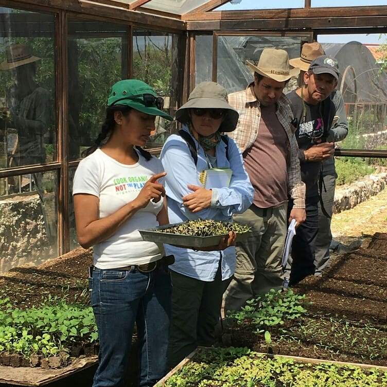 Ecosystem Restoration Camps: Via Organica, Mexico