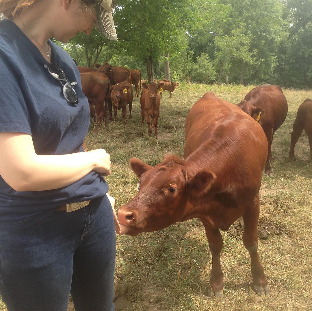 Green Pastures Farms