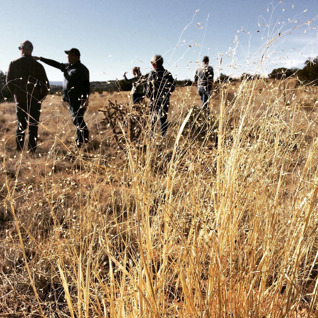 New Mexico Healthy Soil Working Group