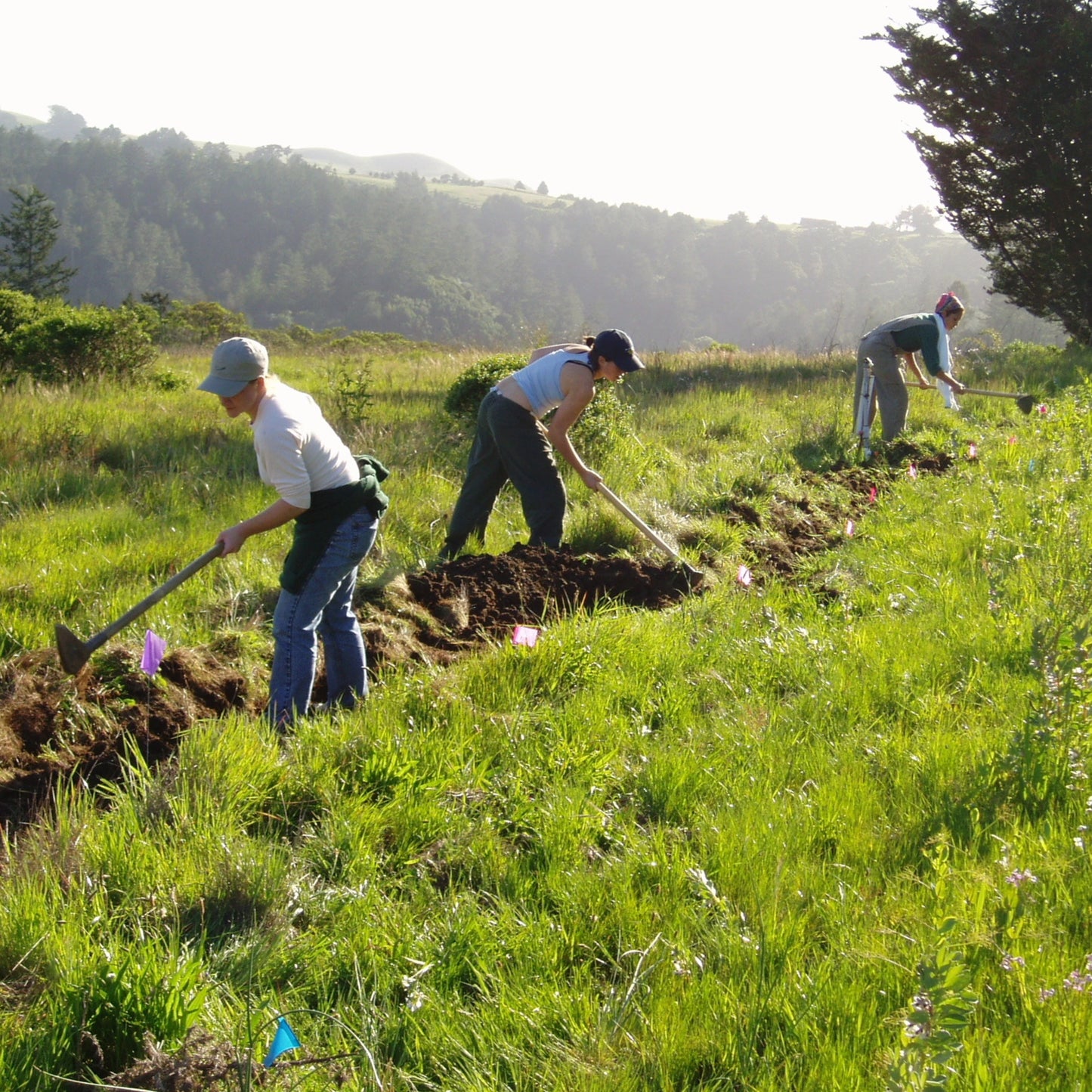 Permaculture Skills Center