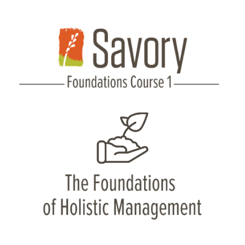 Savory Courses