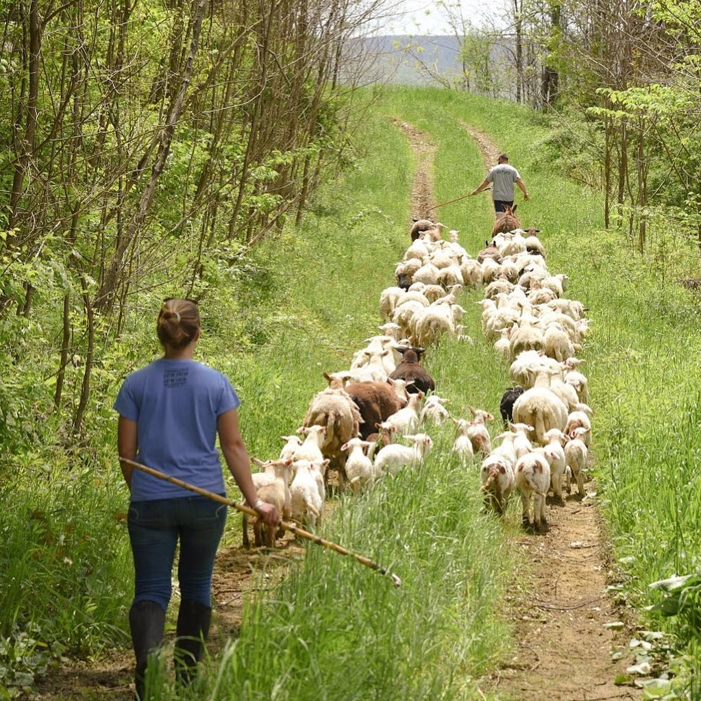 Studio Hill Farm