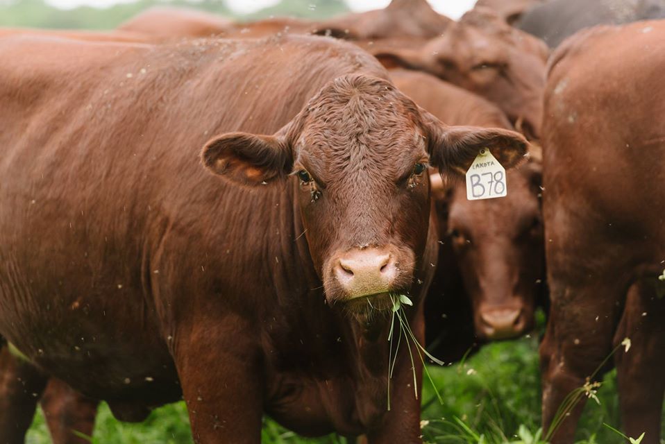 APD Farm