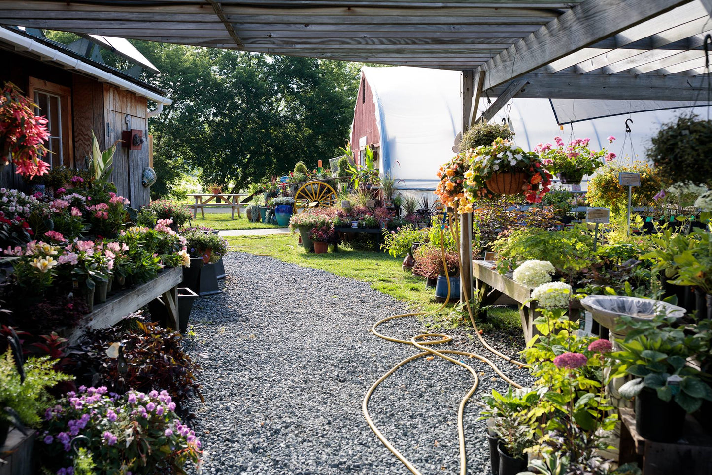 Cedar Circle Farm