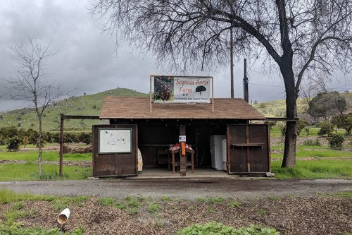 Sequoia Roots Farm