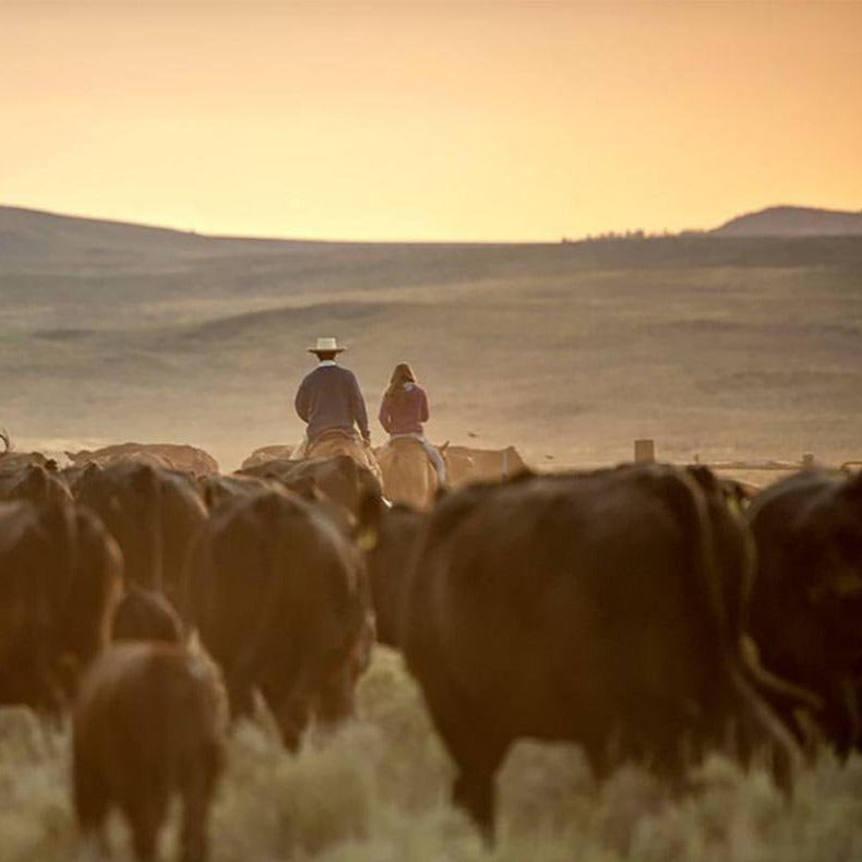 Yellowstone Grassfed Beef