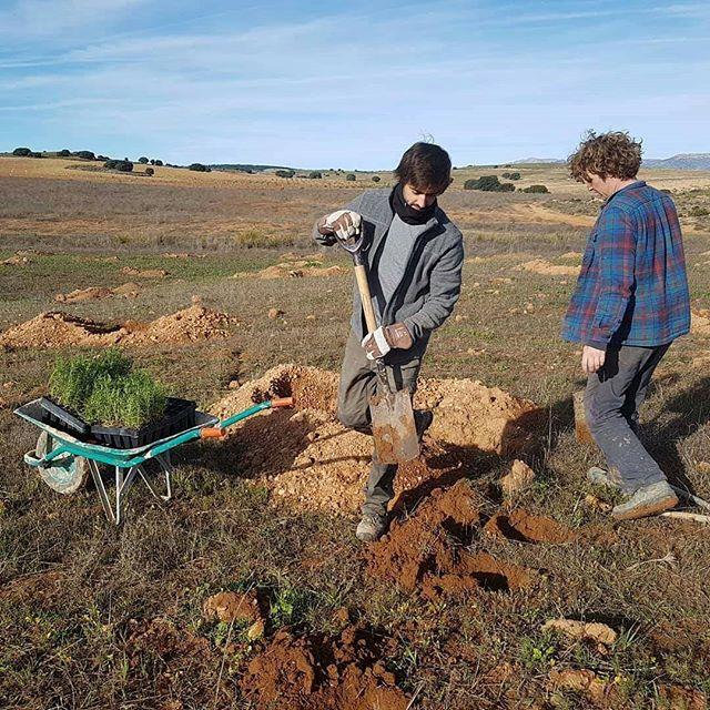 Ecosystem Restoration Camps: Altiplano, Spain