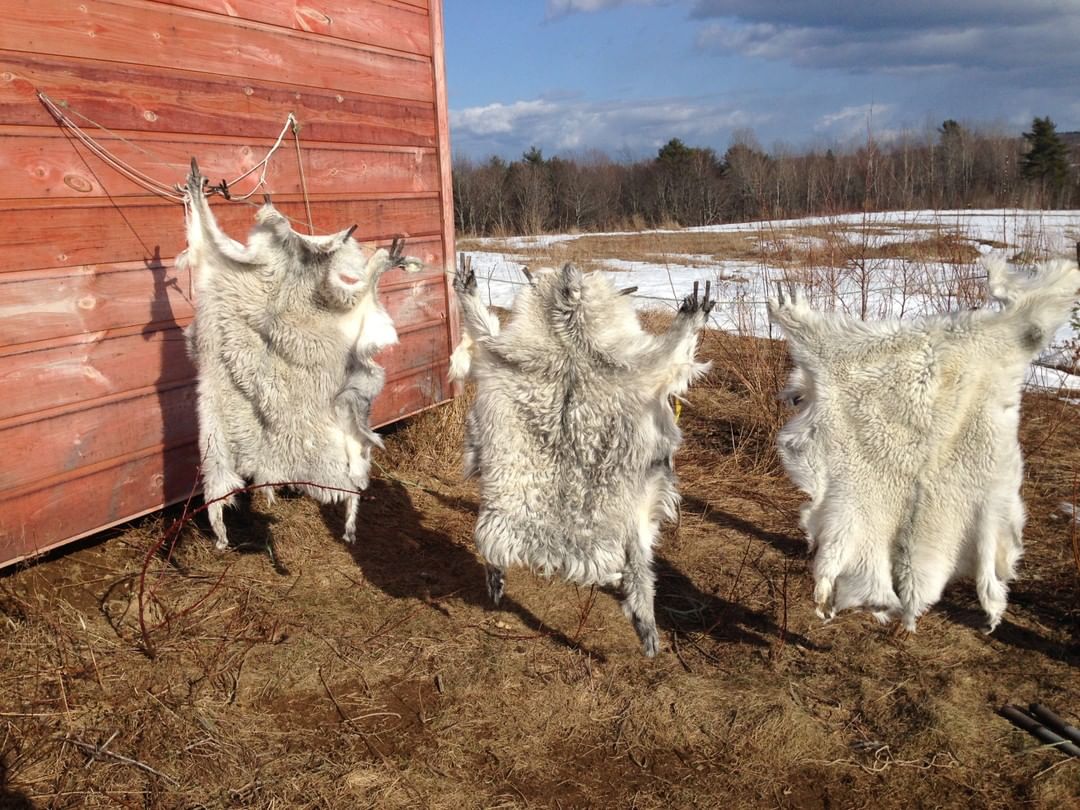 Maine Organic Farmers & Gardeners Association (MOFGA)