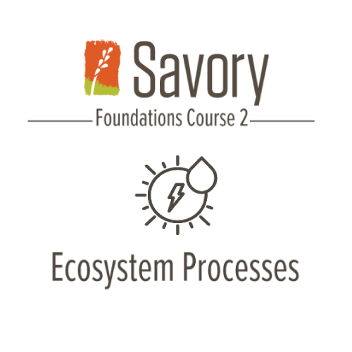 Savory Courses