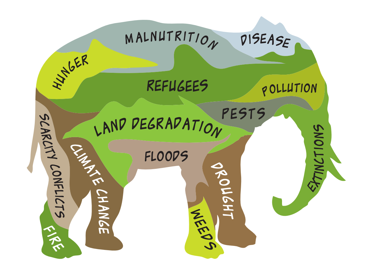 Soil Carbon Coalition