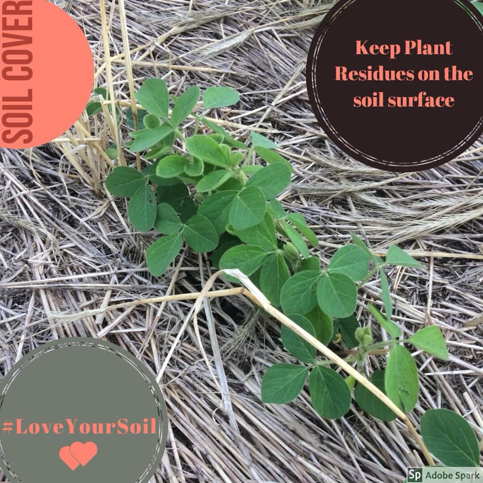 South Dakota Soil Health Coalition