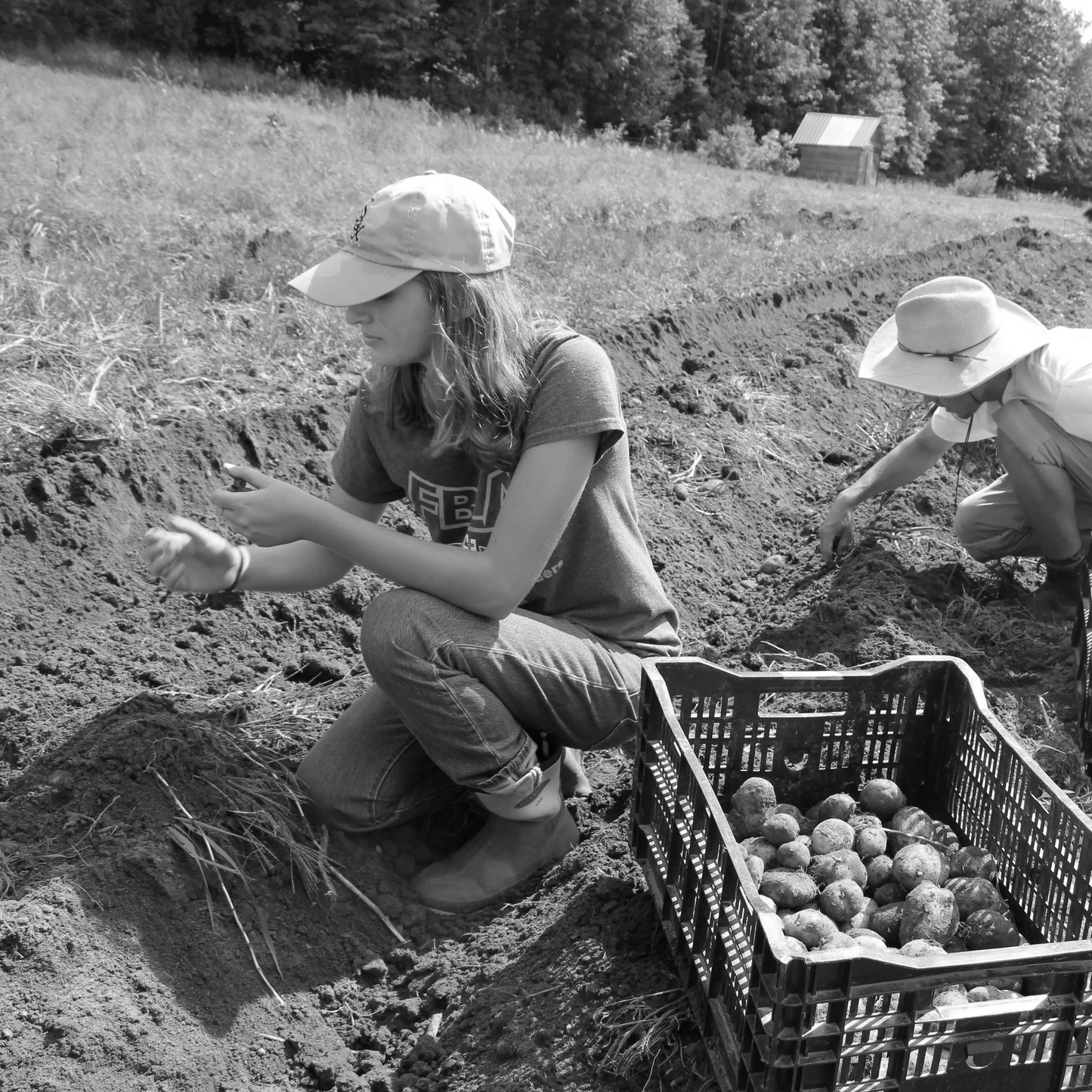 Wendell Berry Farming Program