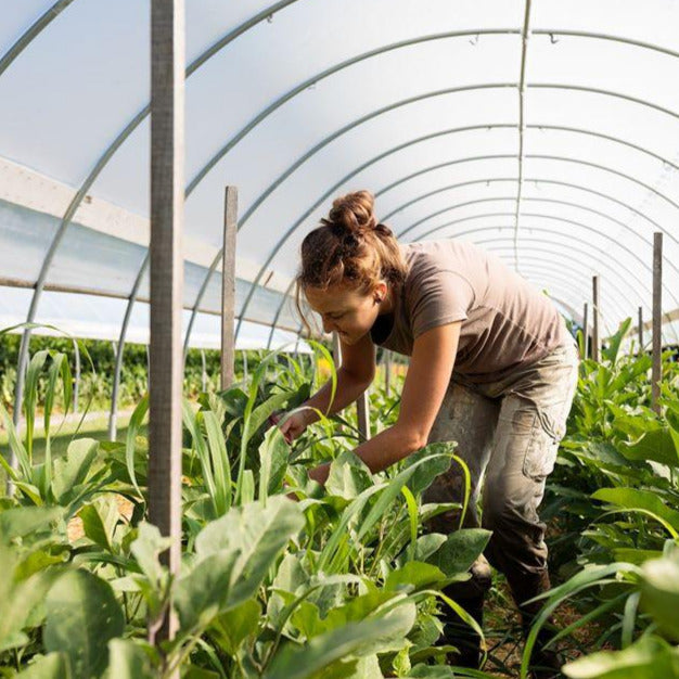 Cedar Circle Farm