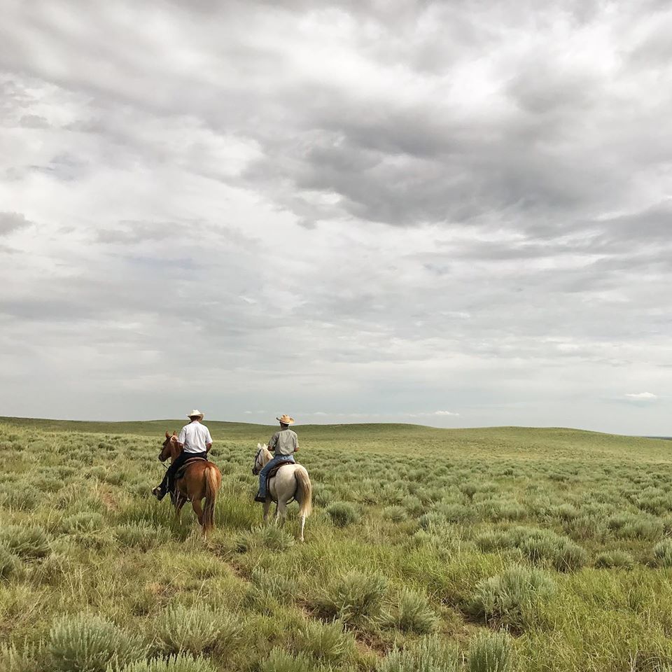 Flying Diamond Ranch