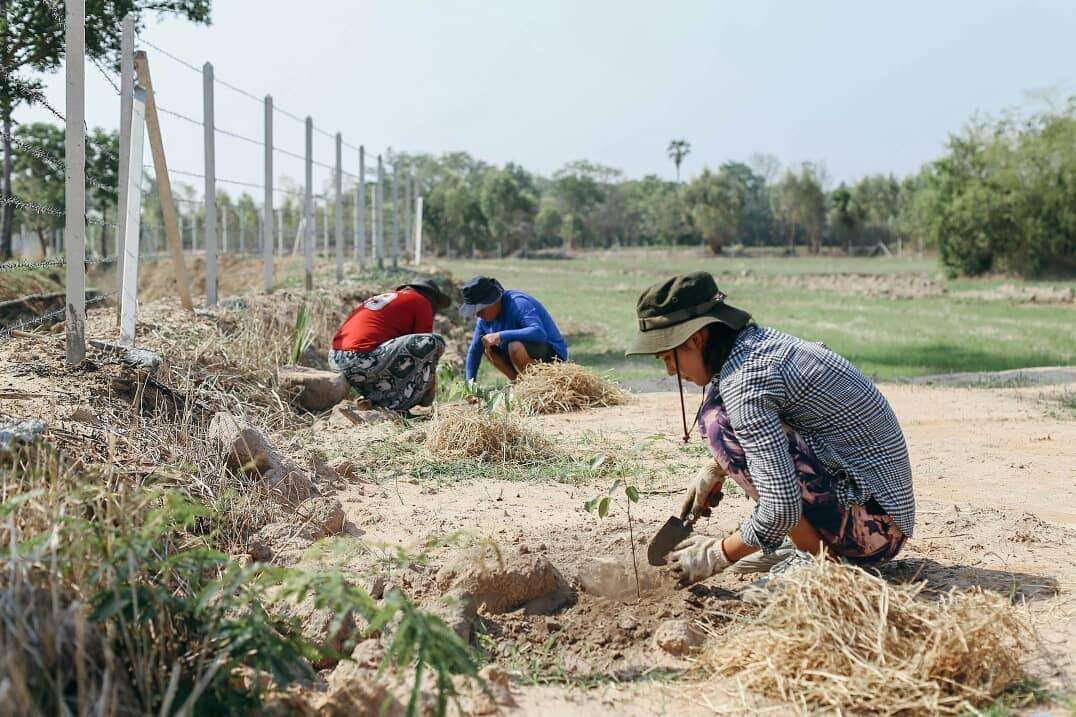 Ecosystem Restoration Camps: Uthai, Thailand