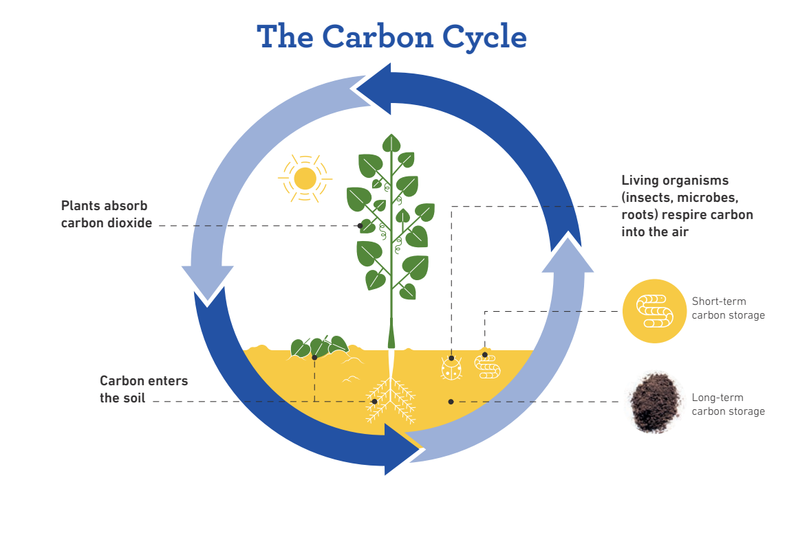 Healthy Soils to Cool the Planet Guide