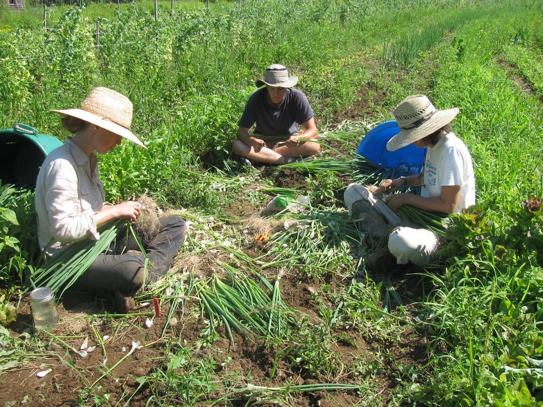 Maine Organic Farmers & Gardeners Association (MOFGA)