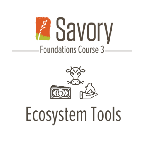 Savory Courses