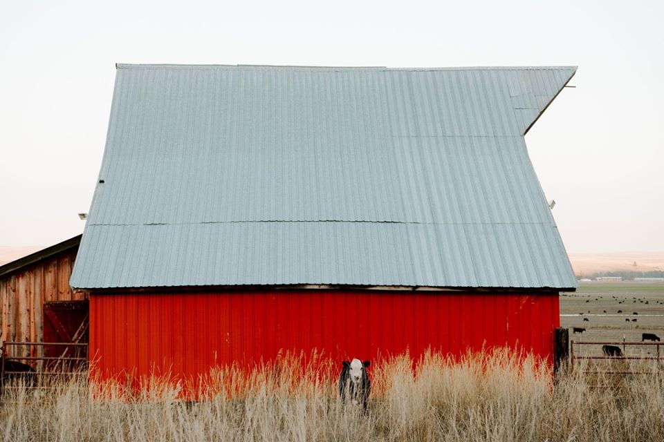 Carman Ranch