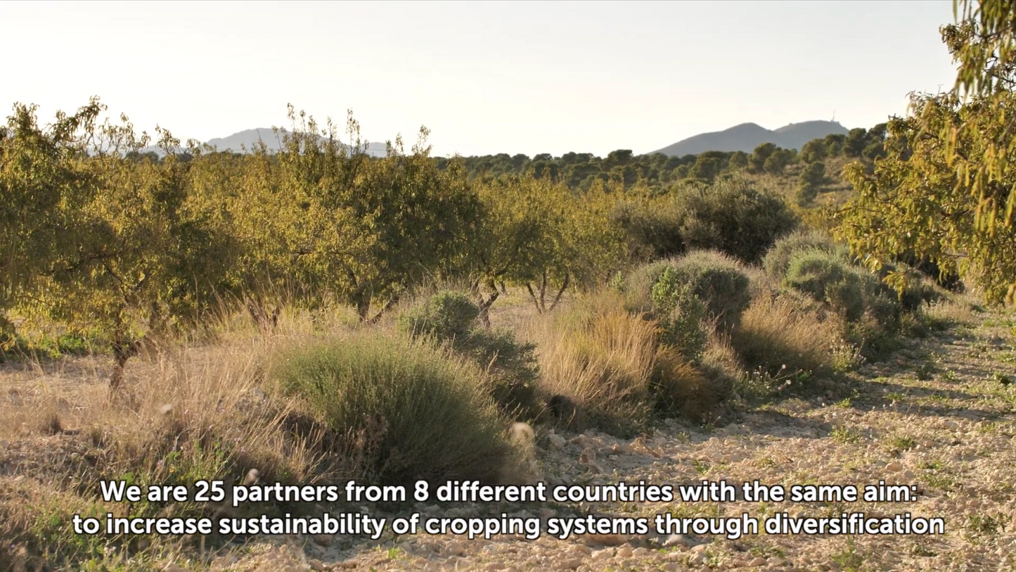 Business Model Innovation for Sustainable Landscape Restoration