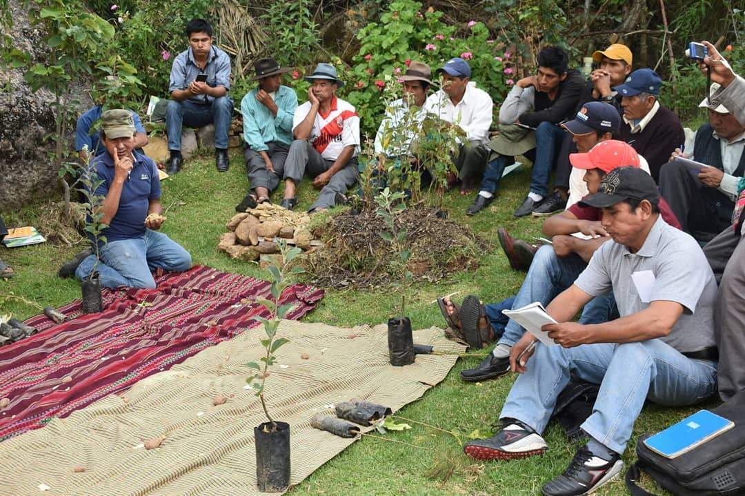 Ecosystem Restoration Camps: Chocaya, Bolivia